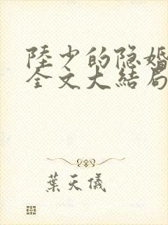 陆少的隐婚罪妻全文大结局封面