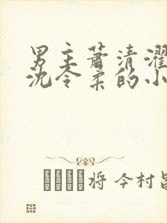 男主萧清濯女主沈令柔的小说封面