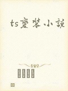 ts变装小说封面