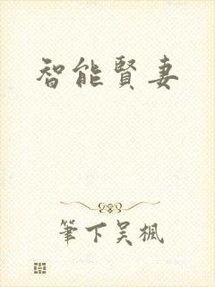 智能贤妻