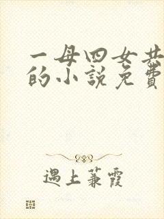 一母四女共一婿的小说免费阅读小冉和她爸爸