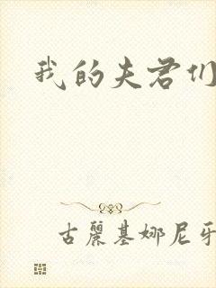 我的夫君们
