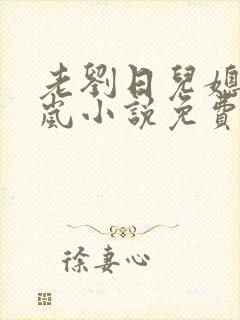 老刘日儿媳妇张岚小说免费阅读
