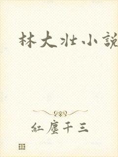 林大壮小说阅读