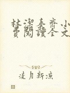 林洁秦齐小说免费阅读全文下载