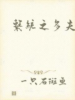 系统之多夫HP封面