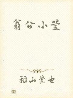 翁公小莹