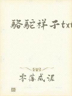 骆驼祥子txt
