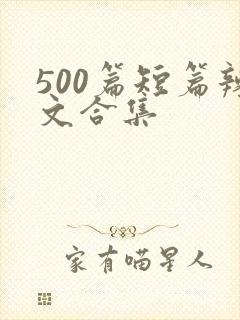 500篇短篇辣文合集
