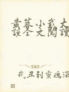 黄蓉小武大武小说全文阅读