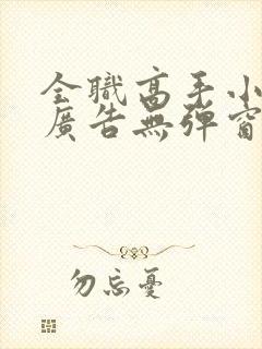 全职高手小说无广告无弹窗封面