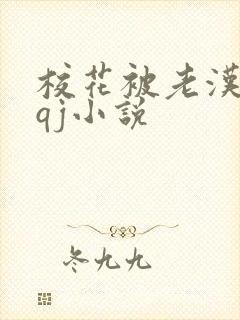 校花被老汉狂肉qj小说封面