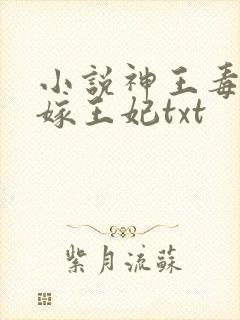 小说神王毒宠二嫁王妃txt