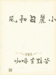 风和日丽小说封面
