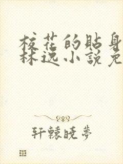 校花的贴身高手林逸小说免费全文阅读