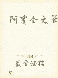 阿宾全文笔趣阁封面