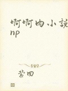 啊啊肉小说嗯嗯np