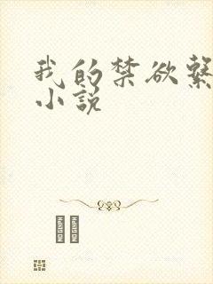 我的禁欲系老公小说