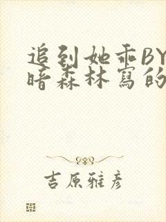 追到她乖BY黑暗森林写的小说