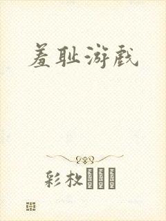羞耻游戏封面