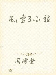 风云3小说