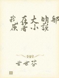 我在大明那些年原著小说