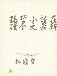 孙哲小说在线阅读全文最新