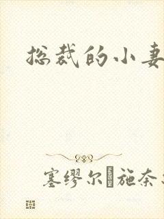 总裁的小妻子
