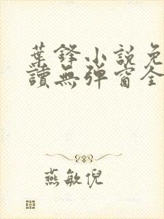 叶锋小说免费阅读无弹窗全文封面