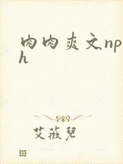肉肉爽文np高h