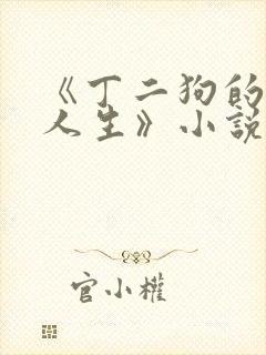《丁二狗的逍遥人生》小说