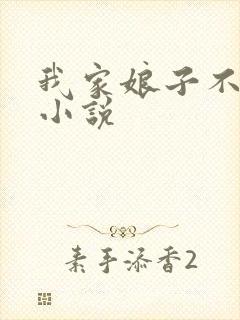 我家娘子不对劲小说封面