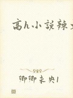 高h小说辣文封面