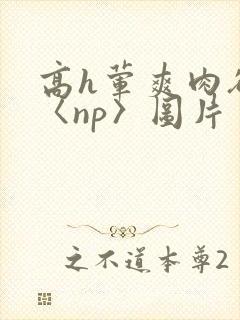 高h荤爽肉欲文〈np〉图片