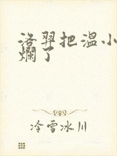 洛羿把温小辉做烂了封面