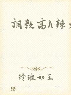 调教高h辣文封面