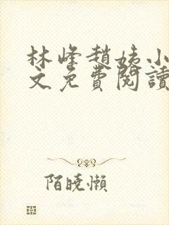 林峰赵姨小说全文免费阅读