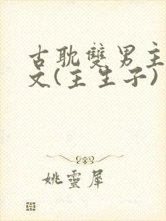 古耽双男主生子文(主生子)