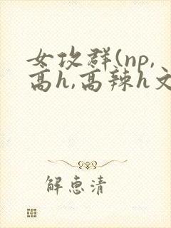 女攻群(np,高h,高辣h文)