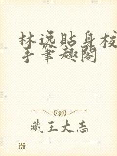 林逸贴身校花高手笔趣阁封面