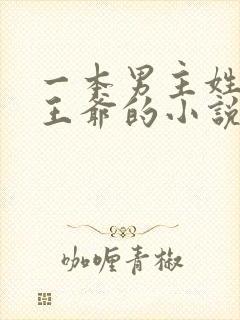 一本男主姓萧是王爷的小说封面