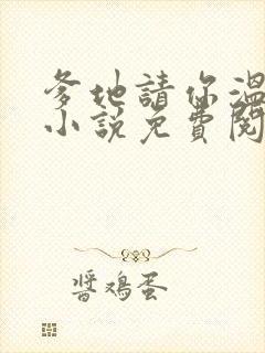 爹地请你温柔点小说免费阅读