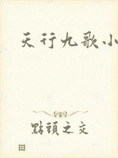 天行九歌小说