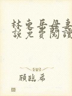 林东岳母妻子小说免费阅读全文无弹窗