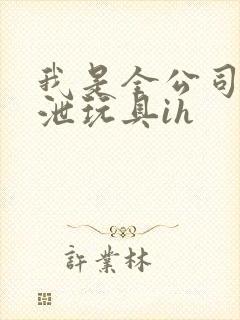 我是全公司的发泄玩具ih