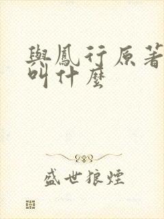 与凤行原著小说叫什么