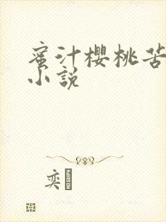 蜜汁樱桃苦咖啡小说封面