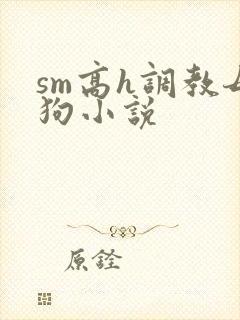 sm高h调教母狗小说