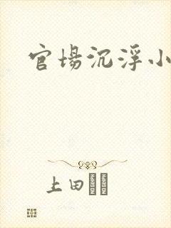 官场沉浮小说