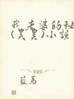 我老婆的秘密 (吴昊)小说